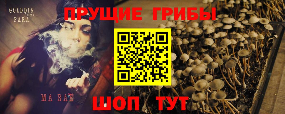 Псилоцибиновые грибы Magic Shrooms  продажа наркотиков  Галлюциногенные грибы мухоморы  Иркутск  Вход с VPN 